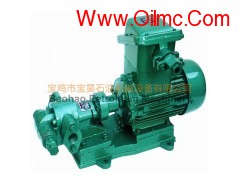 宝昊石油供应KCB-55等各型号齿轮泵图2
