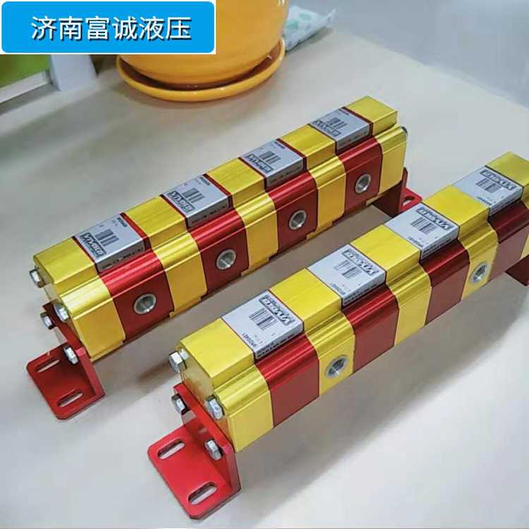 RV-1D0.45 9RD0204同步分流马达图3