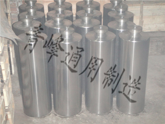 FZNB系列柱塞 实力厂家 定制生产图2