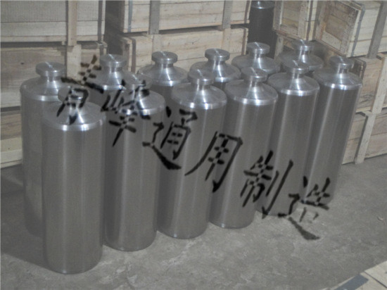 FZNB系列柱塞 实力厂家 定制生产图3