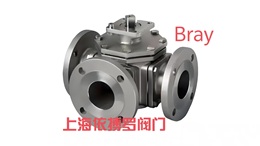 美国bray博雷 S20/S21对夹式蝶阀图4