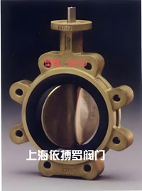 原装正品美国BRAY博雷蝶阀S22系列图5