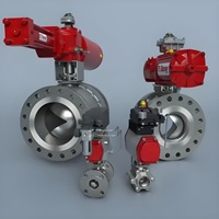 美国bray博雷蝶阀S30图2