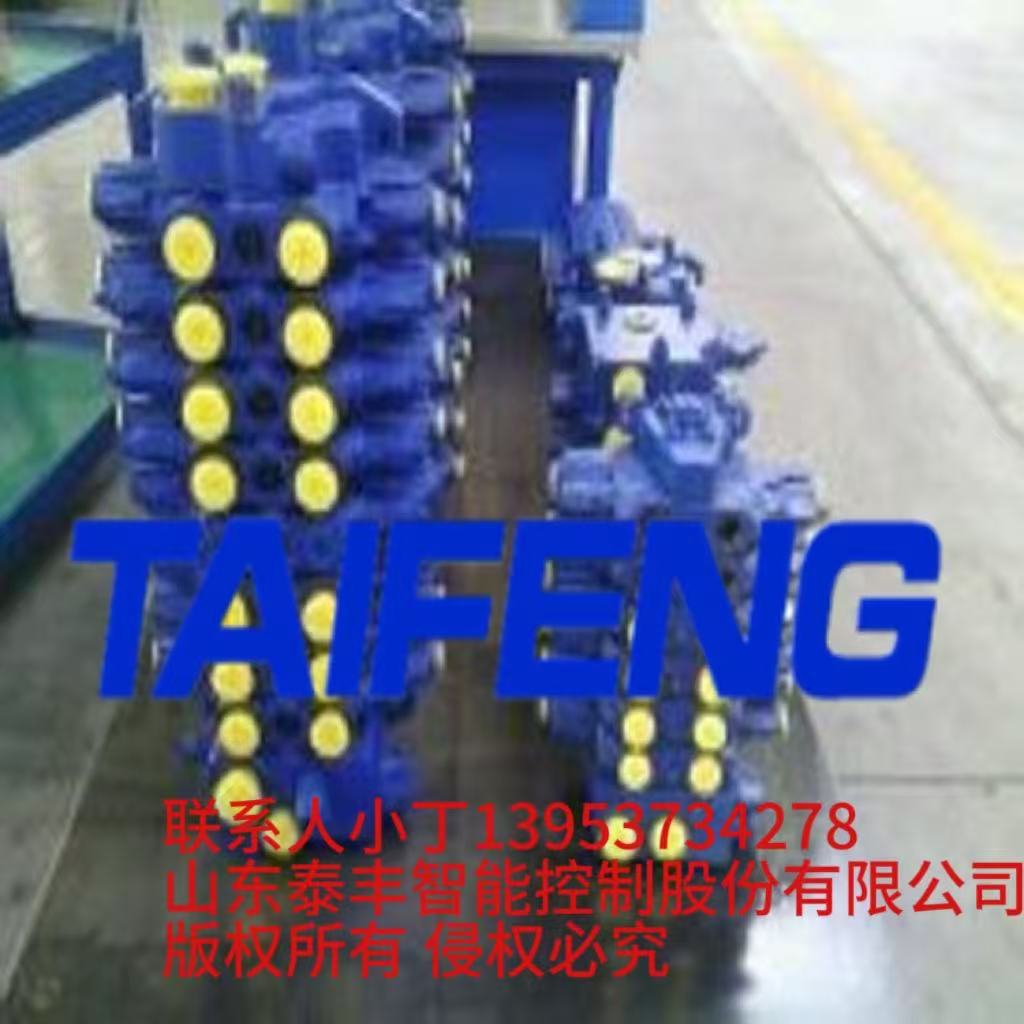 山东泰丰厂家供应可加工定制多路阀TRM20图1