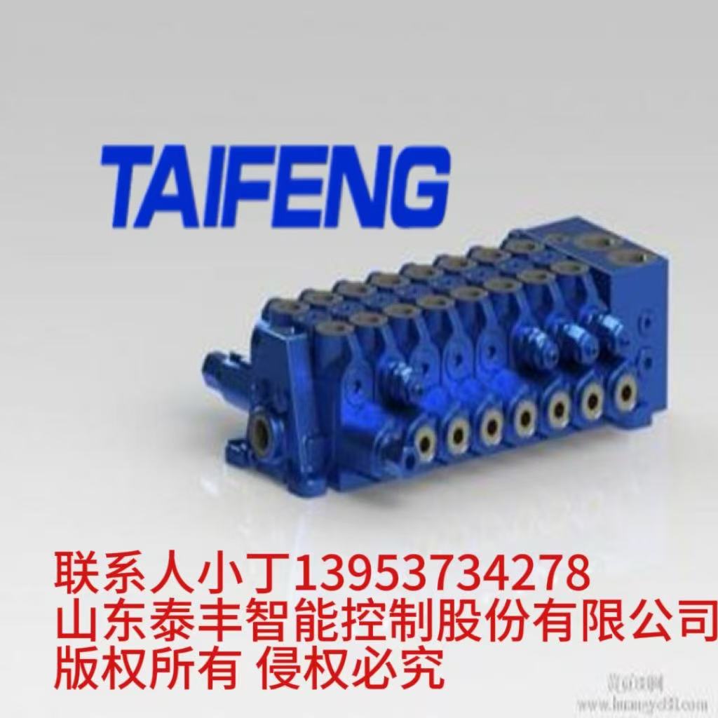 TRM15-BH-08-CT-02挖机多路阀泰丰厂家现货供应图1