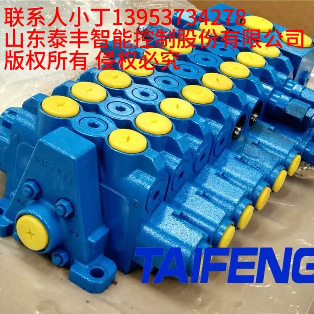 TRM20-BX-02-JX-01多路阀泰丰液压厂家加工定制图1
