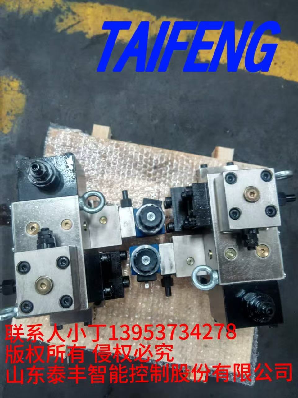 YLMJ-200TCV-00泰丰智能供应打包机插装阀组图1